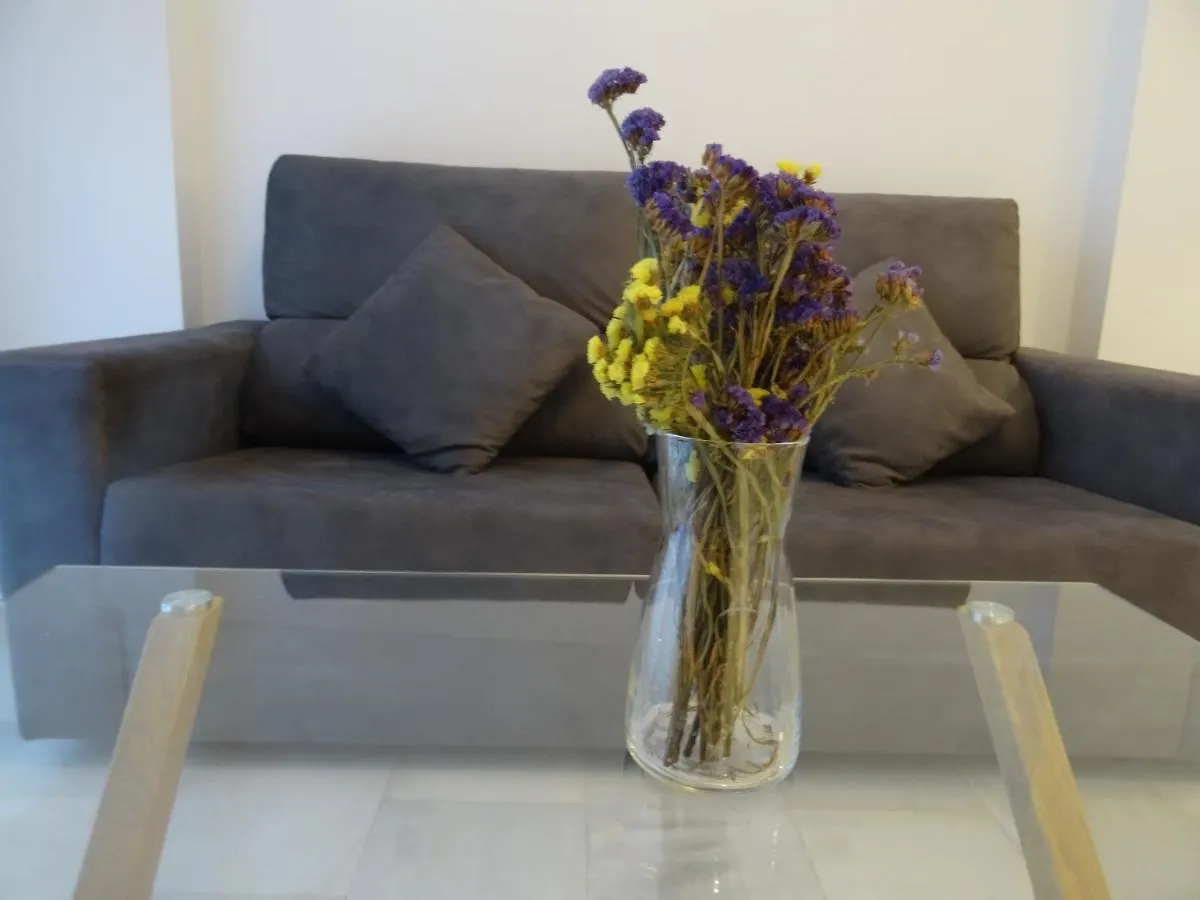 Domus Apartamentos Granada Con Parking Gratuito En Pleno Centro